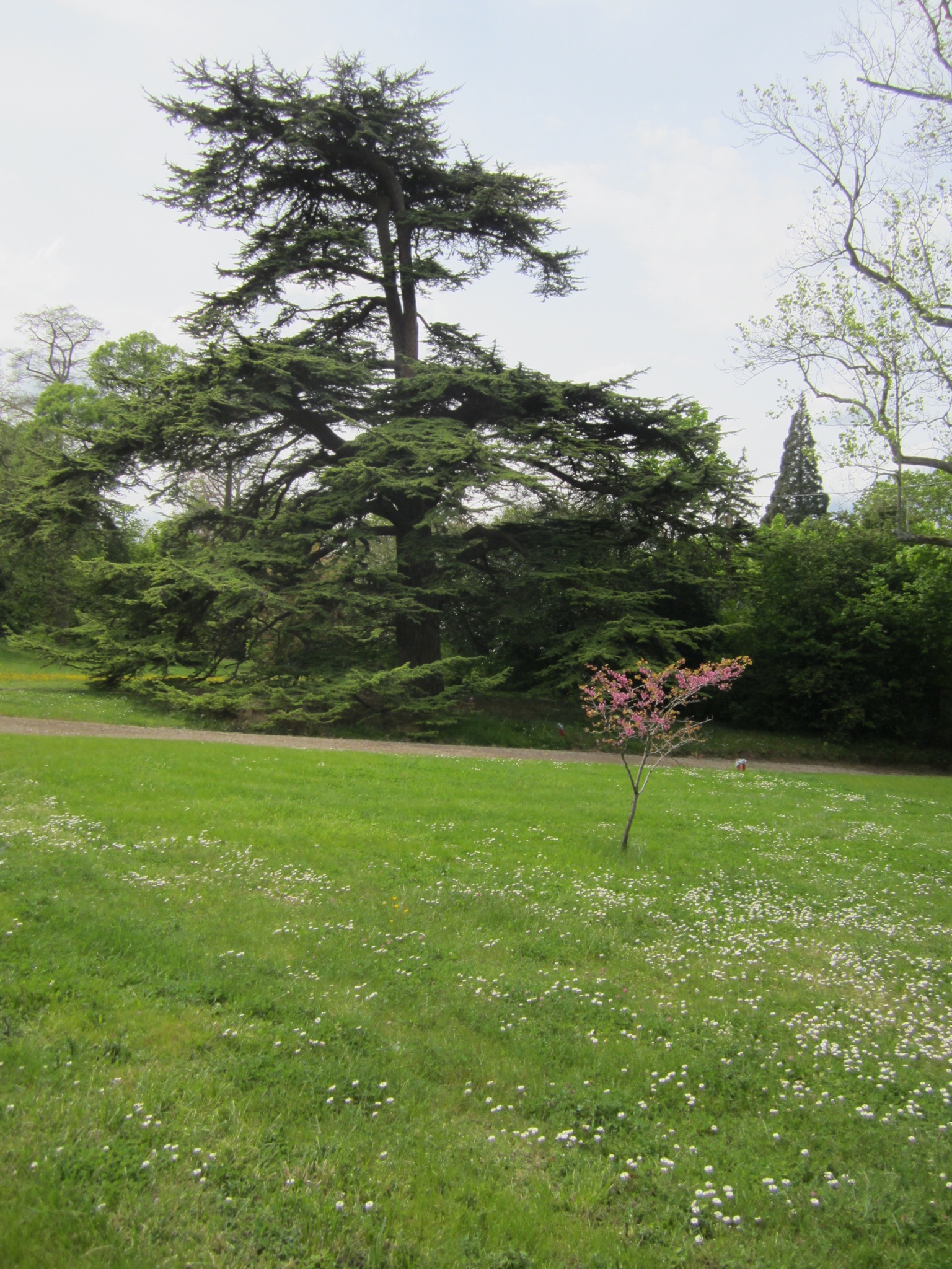 Photo Apr 29, 7 00 23 PM