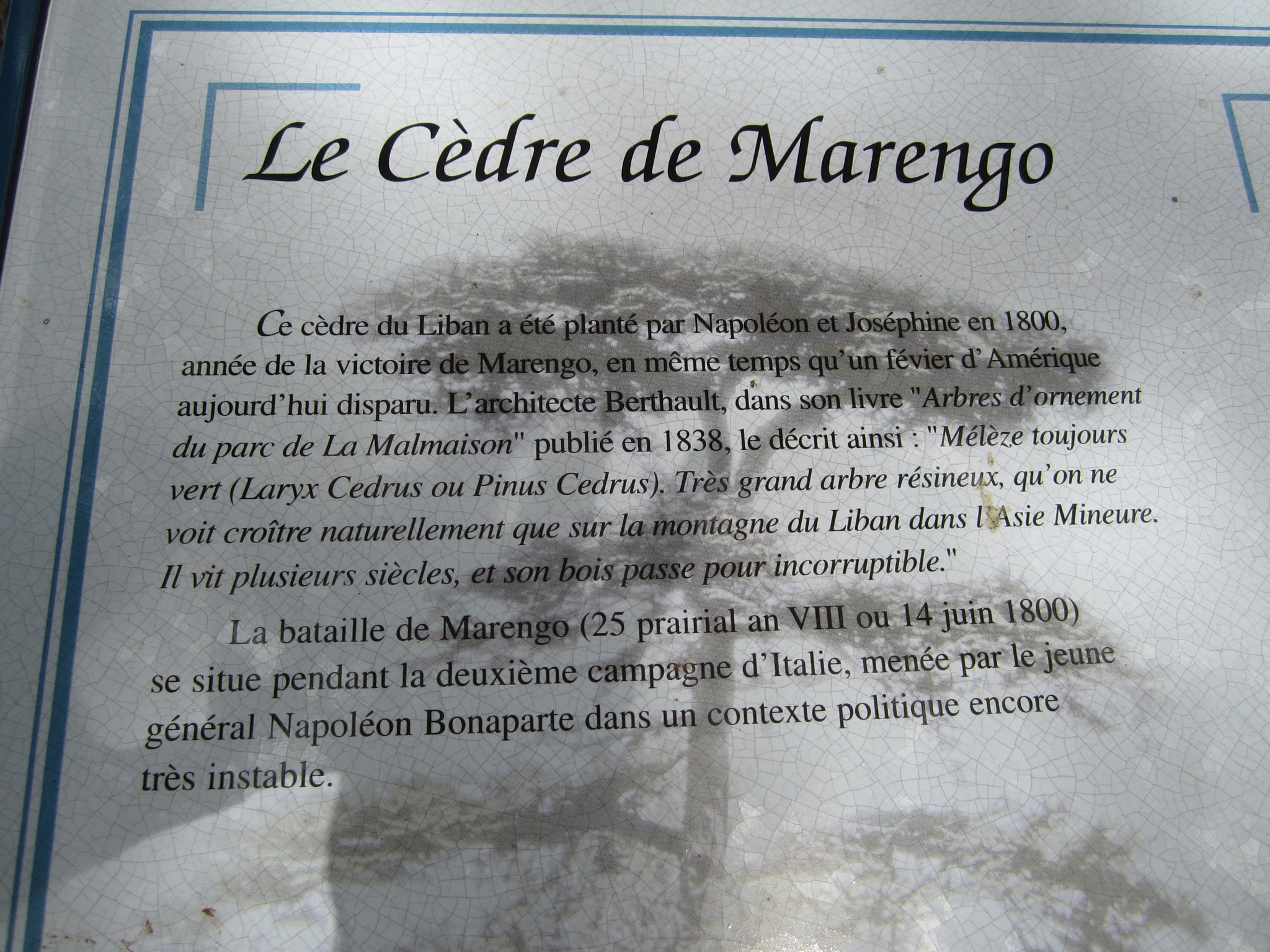 Photo Apr 29, 7 01 45 PM