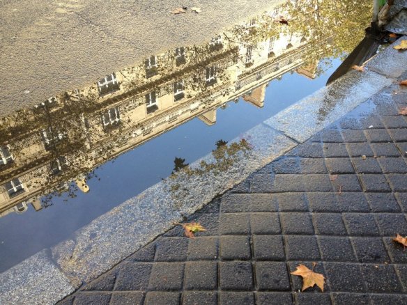 A Paris puddle on Avenue Kléber in the 16th