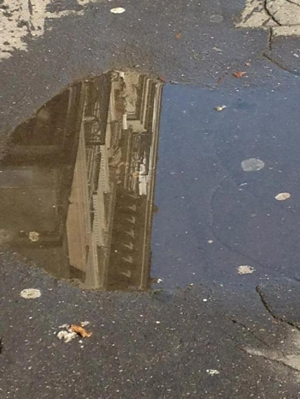 A Paris puddle on Avenue Kléber in the 16th