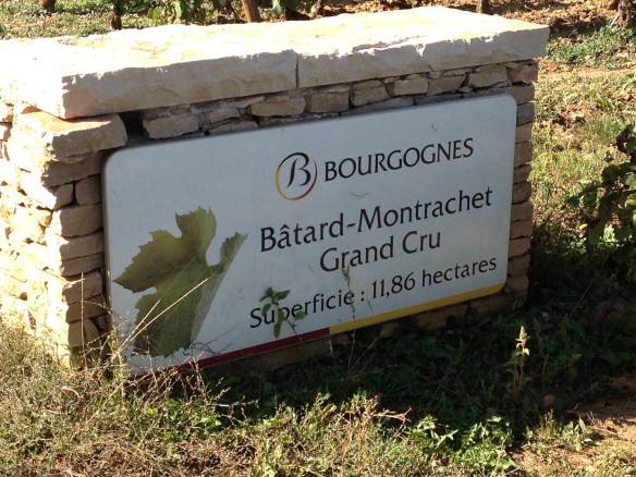 The vineyard of the legendary Batard-Montrachet.