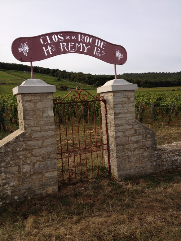 Clos de la Roche Grand Cru vineyard just north of Morey-Saint-Denis in Cote de Nuits, right next to Ray Walker's Les Chaffots.