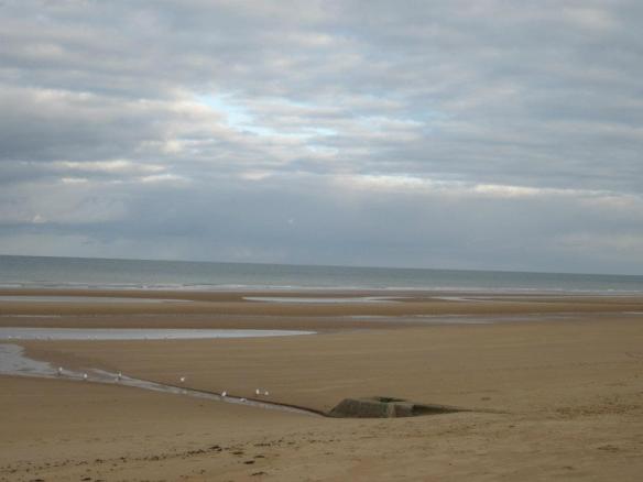 398400_104420946346520_1690152908_n