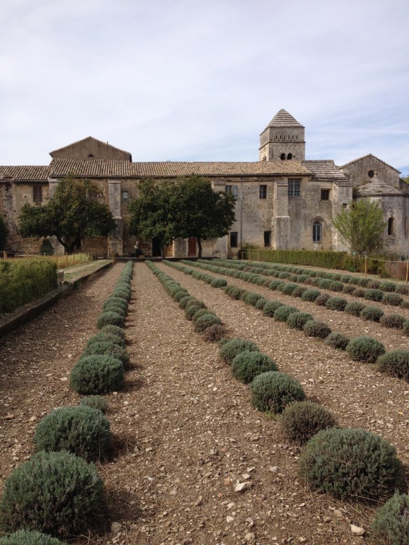 St-Paul-de-Mausole view from the back gardens in September