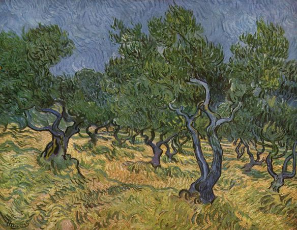 Van Gogh, Olive Orchard, June 1889 Nelson-Atkins Museum of Art, Kansas City
