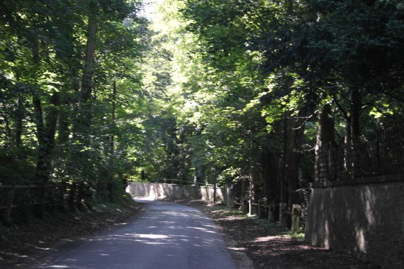 The lovely chemin from the chateau to the cemetery.